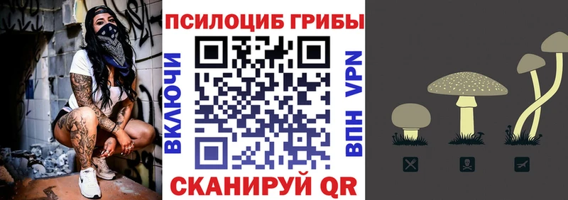 Псилоцибиновые грибы MAGIC MUSHROOMS  как найти   Тутаев 