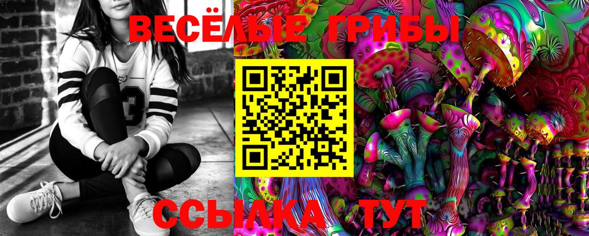 Галлюциногенные грибы Psilocybine cubensis Тутаев